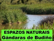 Espazos Naturais: Gándaras de Budiño